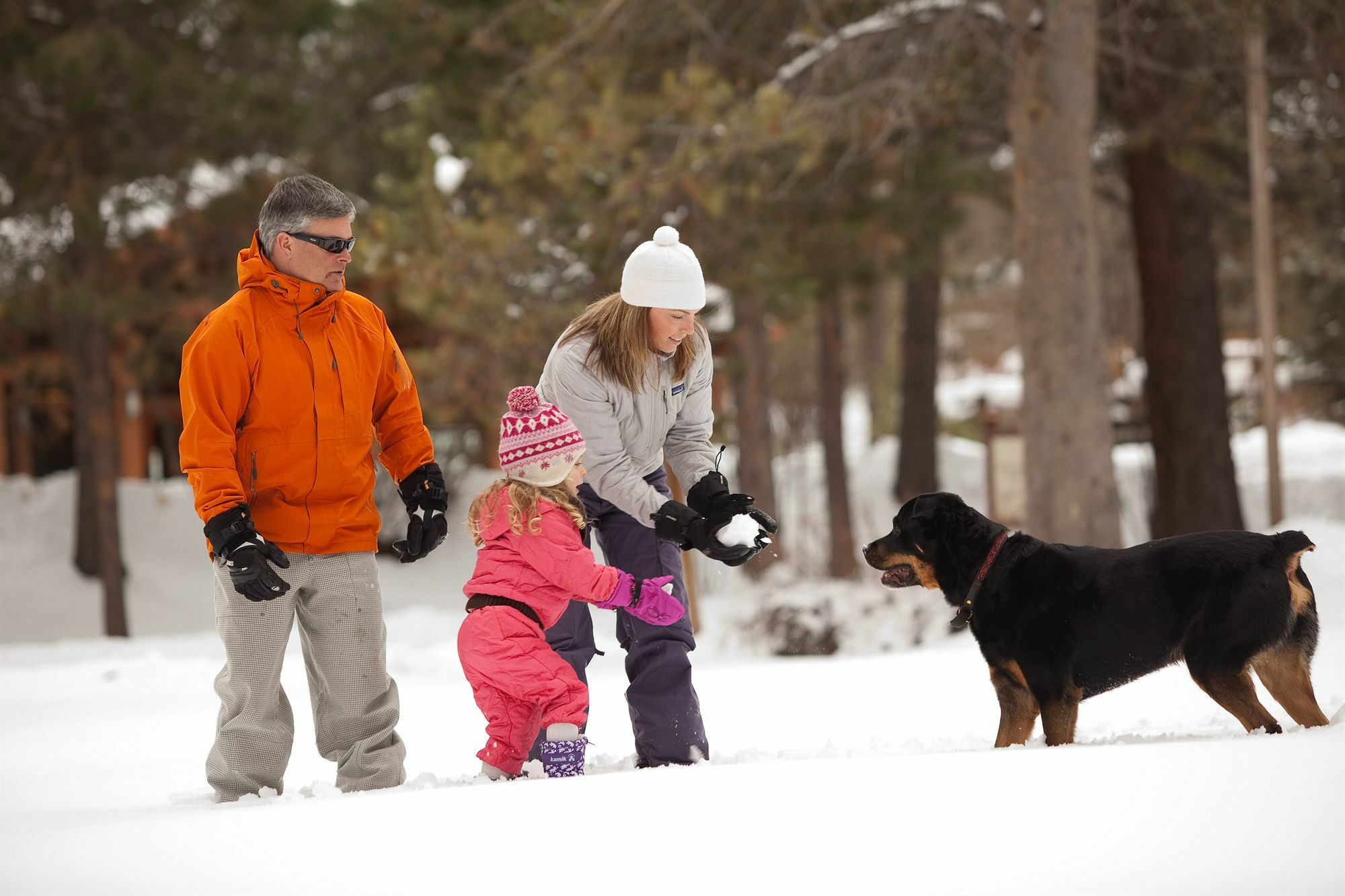 Resort Seventh Mountain